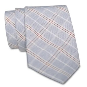 State and Liberty Light Blue Plaid Tie | Accessories