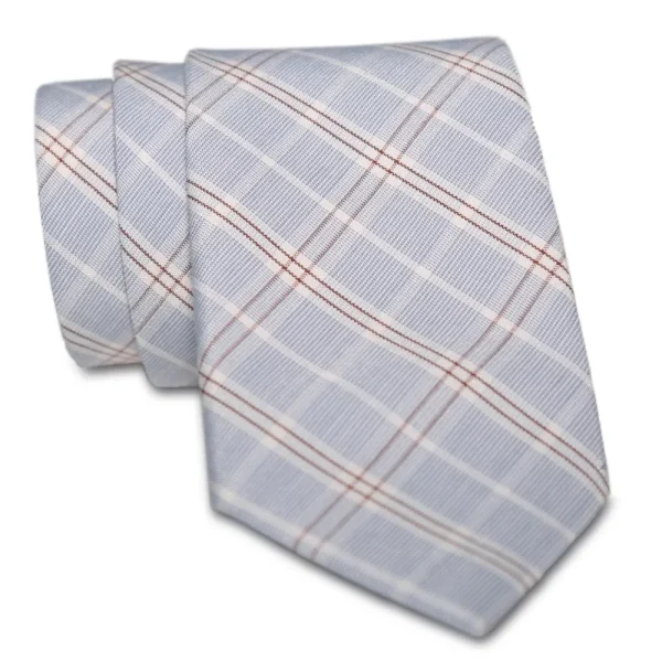 State and Liberty Light Blue Plaid Tie | Accessories