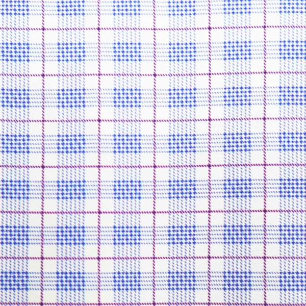 State and Liberty "The Baron" Purple and Blue Plaid | Dress Shirts