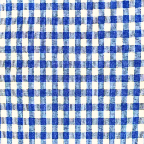 State and Liberty "The Bonino" Blue Gingham | Dress Shirts
