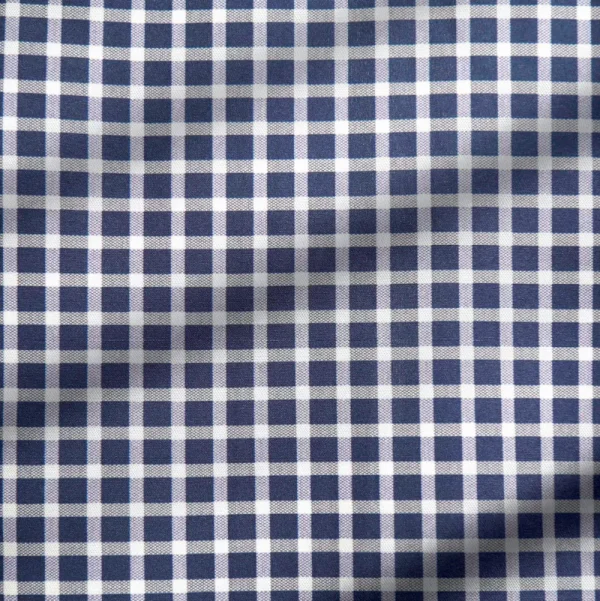 State and Liberty "The Callahan" Blue and White Mini Plaid | Dress Shirts