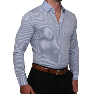 State and Liberty "The Tucker" Mid-Blue Bengal Stripe | Dress Shirts